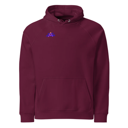 Unisex Eco Raglan Hoodie | SOL'S 03568